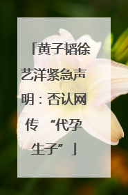 黄子韬徐艺洋紧急声明：否认网传 “代孕生子”