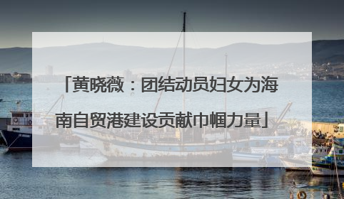 黄晓薇：团结动员妇女为海南自贸港建设贡献巾帼力量
