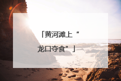黄河滩上“龙口夺食”