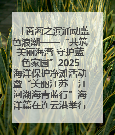 黄海之滨涌动蓝色浪潮——“共筑美丽海湾 守护蓝色家园”2025海洋保护净滩活动暨“美丽江苏—江河湖海青蓝行”海洋篇在连云港举行