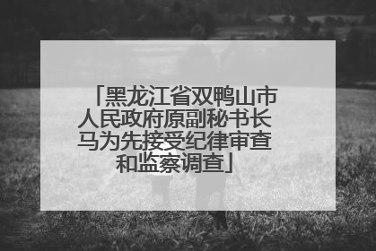 黑龙江省双鸭山市人民政府原副秘书长马为先接受纪律审查和监察调查