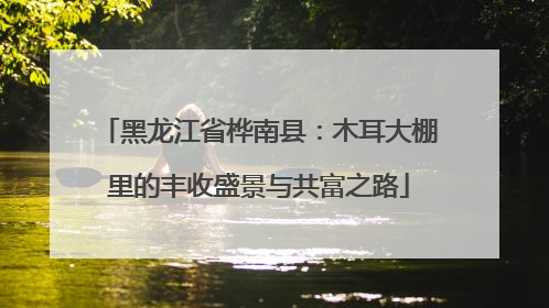黑龙江省桦南县：木耳大棚里的丰收盛景与共富之路