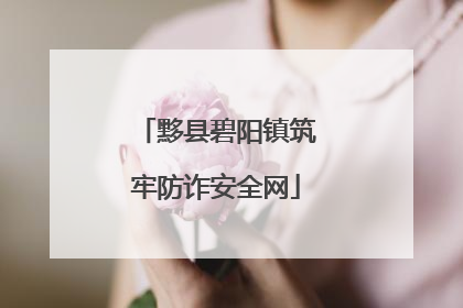 黟县碧阳镇筑牢防诈安全网