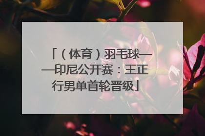 （体育）羽毛球——印尼公开赛：王正行男单首轮晋级