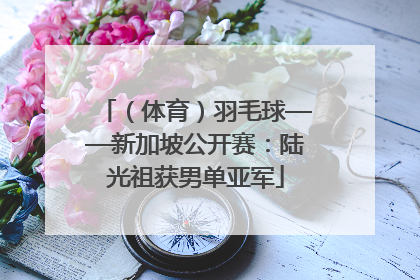 （体育）羽毛球——新加坡公开赛：陆光祖获男单亚军