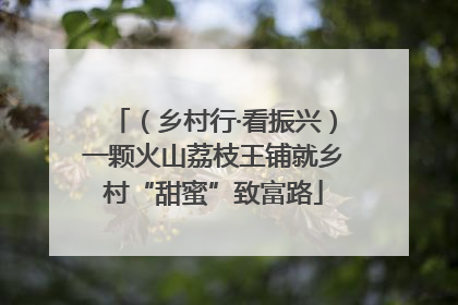 （乡村行·看振兴）一颗火山荔枝王铺就乡村“甜蜜”致富路