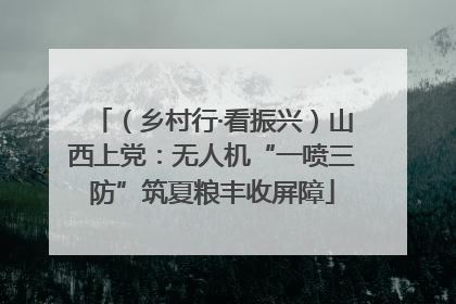 （乡村行·看振兴）山西上党：无人机“一喷三防”筑夏粮丰收屏障