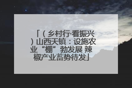 （乡村行·看振兴）山西天镇：设施农业“棚”勃发展 辣椒产业蓄势待发