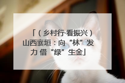 （乡村行·看振兴）山西襄垣：向“林”发力 借“绿”生金