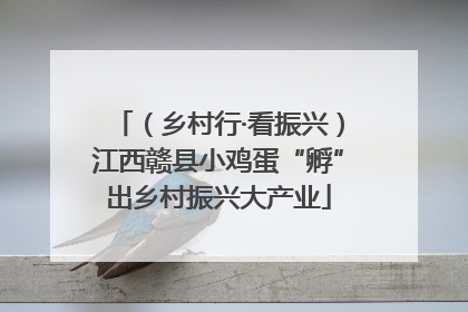 （乡村行·看振兴）江西赣县小鸡蛋“孵”出乡村振兴大产业