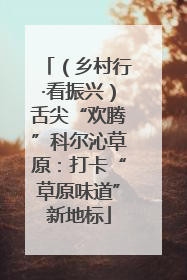 （乡村行·看振兴）舌尖“欢腾”科尔沁草原：打卡“草原味道”新地标