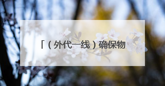 （外代一线）确保物资运入加沙 德国、芬兰呼吁向以色列施压