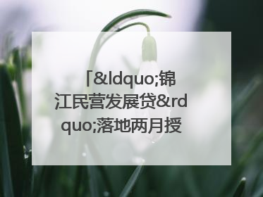 “锦江民营发展贷”落地两月授信1.7亿元，惠及118家民企