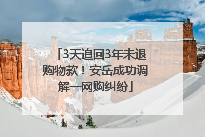 3天追回3年未退购物款！安岳成功调解一网购纠纷