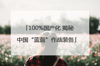 100%国产化 揭秘中国“蓝盔”作战装备