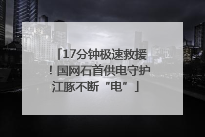 17分钟极速救援！国网石首供电守护江豚不断“电”