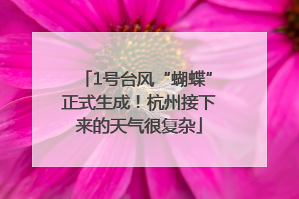 1号台风“蝴蝶”正式生成！杭州接下来的天气很复杂