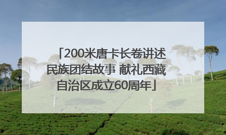 200米唐卡长卷讲述民族团结故事 献礼西藏自治区成立60周年
