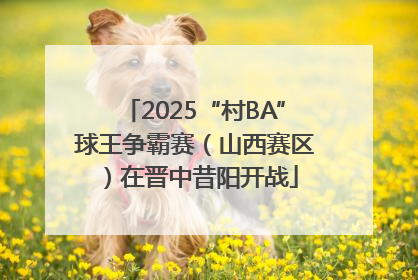 2025“村BA”球王争霸赛（山西赛区）在晋中昔阳开战
