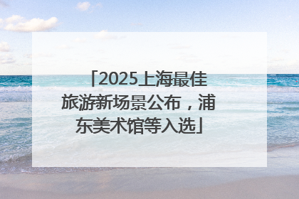 2025上海最佳旅游新场景公布，浦东美术馆等入选