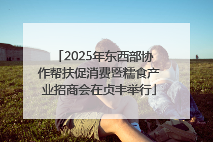 2025年东西部协作帮扶促消费暨糯食产业招商会在贞丰举行