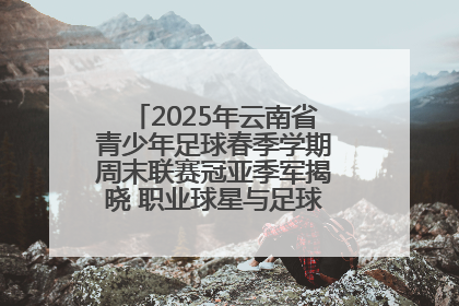 2025年云南省青少年足球春季学期周末联赛冠亚季军揭晓 职业球星与足球小将共享荣耀时刻