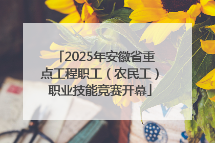2025年安徽省重点工程职工（农民工）职业技能竞赛开幕