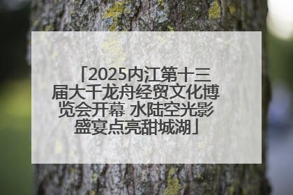 2025内江第十三届大千龙舟经贸文化博览会开幕 水陆空光影盛宴点亮甜城湖