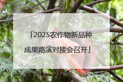 2025农作物新品种成果路演对接会召开