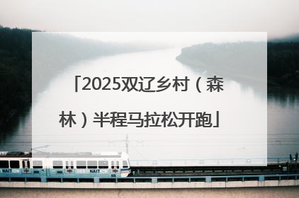 2025双辽乡村（森林）半程马拉松开跑