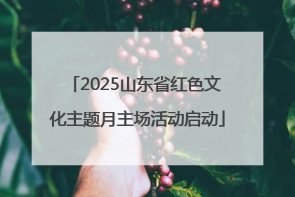 2025山东省红色文化主题月主场活动启动