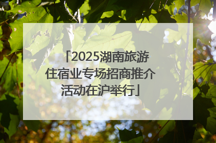 2025湖南旅游住宿业专场招商推介活动在沪举行