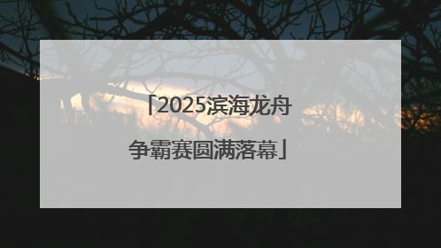 2025滨海龙舟争霸赛圆满落幕