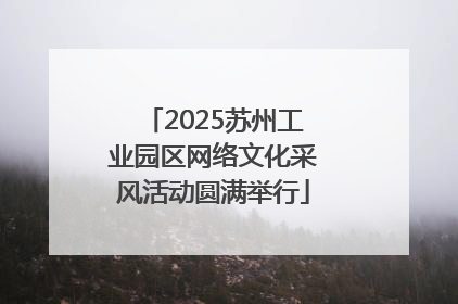 2025苏州工业园区网络文化采风活动圆满举行