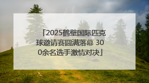 2025鹤壁国际匹克球邀请赛圆满落幕 300余名选手激情对决