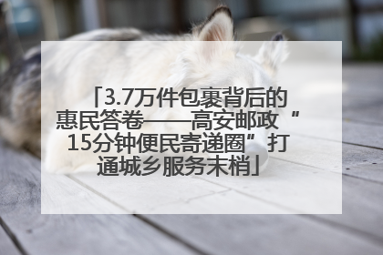 3.7万件包裹背后的惠民答卷——高安邮政“15分钟便民寄递圈”打通城乡服务末梢