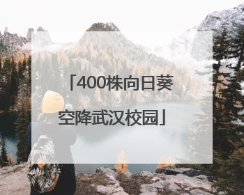 400株向日葵空降武汉校园