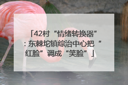 42村“情绪转换器”：东棘坨镇综治中心把“红脸”调成“笑脸”