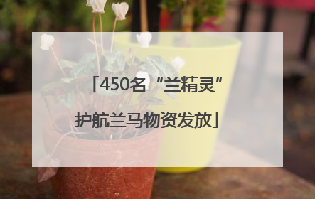 450名“兰精灵”护航兰马物资发放
