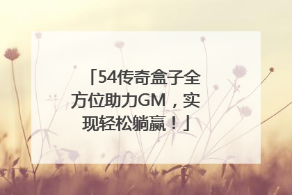 54传奇盒子全方位助力GM，实现轻松躺赢！