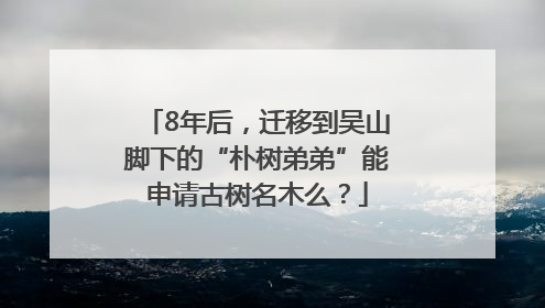 8年后，迁移到吴山脚下的“朴树弟弟”能申请古树名木么？