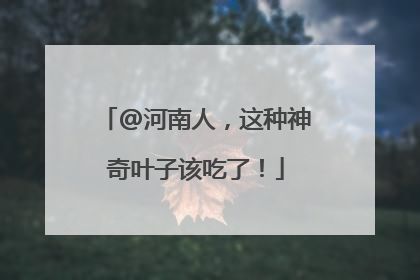 @河南人，这种神奇叶子该吃了！