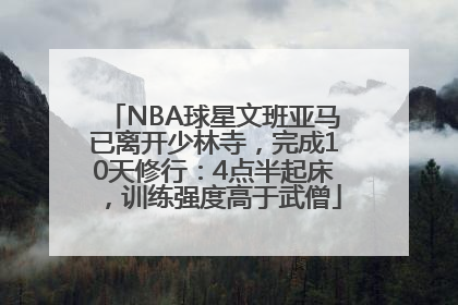 NBA球星文班亚马已离开少林寺，完成10天修行：4点半起床，训练强度高于武僧