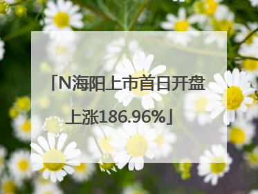 N海阳上市首日开盘上涨186.96%