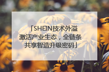 SHEIN技术外溢激活产业生态，全链条共享智造升级密码