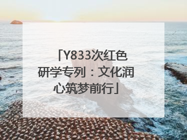 Y833次红色研学专列：文化润心筑梦前行
